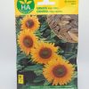Semillas Girasol