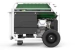 GENERADOR GASOLINA - PROPANO NATURA 3000 GENERGY