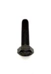 TORNILLO GUIA INFERIOR BCS 8x35