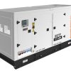 grupo electrogeno gds275t 275kva 3